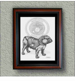 US Marine Corps "Bulldog 1997" image 0