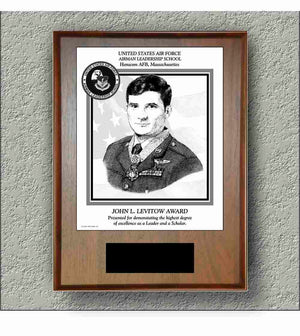 US Air Force Hanscom AFB John Levitow Award image 0